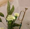 Flowers and Instrument